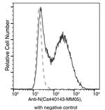 SARS/SARS-CoV-2 Nucleocapsid Antibody in Flow Cytometry (Flow)