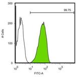 SOX2 Antibody in Flow Cytometry (Flow)