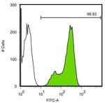 Nanog Antibody in Flow Cytometry (Flow)