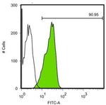 OCT4 Antibody in Flow Cytometry (Flow)