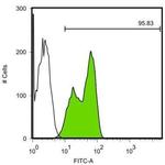 LIN28A Antibody in Flow Cytometry (Flow)