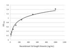 Vimentin Antibody in ELISA (ELISA)