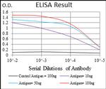 MRP4 Antibody in ELISA (ELISA)