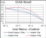 ABCG5 Antibody in ELISA (ELISA)