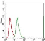 ABCG5 Antibody in Flow Cytometry (Flow)