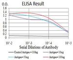 ADAMTS1 Antibody in ELISA (ELISA)
