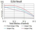 ADAR Antibody in ELISA (ELISA)