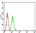 ADAR Antibody in Flow Cytometry (Flow)