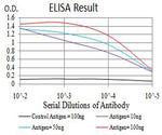 AEBP2 Antibody in ELISA (ELISA)