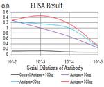 ALDH6A1 Antibody in ELISA (ELISA)