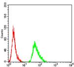 alpha Amylase 1 Antibody in Flow Cytometry (Flow)