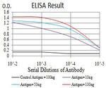 alpha Amylase 1 Antibody in ELISA (ELISA)