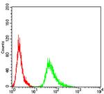 alpha Amylase 1 Antibody in Flow Cytometry (Flow)