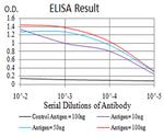 APC10 Antibody in ELISA (ELISA)