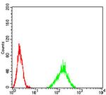 ATF3 Antibody in Flow Cytometry (Flow)