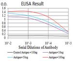 ATF3 Antibody in ELISA (ELISA)