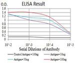 ATL1 Antibody in ELISA (ELISA)