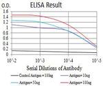 ATPIF1 Antibody in ELISA (ELISA)