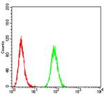 ATPIF1 Antibody in Flow Cytometry (Flow)