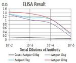 ATRX Antibody in ELISA (ELISA)