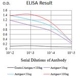 AUP1 Antibody in ELISA (ELISA)