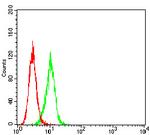 BCL9L Antibody in Flow Cytometry (Flow)