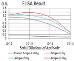 C1QA Antibody in ELISA (ELISA)