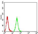 C1QA Antibody in Flow Cytometry (Flow)