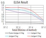 CBX4 Antibody in ELISA (ELISA)