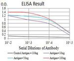 c-Mpl Antibody in ELISA (ELISA)