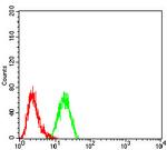 c-Mpl Antibody in Flow Cytometry (Flow)