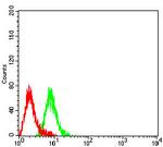 CD3g Antibody in Flow Cytometry (Flow)