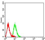 CD3g Antibody in Flow Cytometry (Flow)