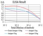 CFHR5 Antibody in ELISA (ELISA)