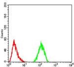 CFHR5 Antibody in Flow Cytometry (Flow)