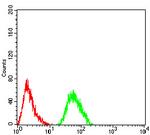 CFHR5 Antibody in Flow Cytometry (Flow)