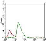 FLIP Antibody in Flow Cytometry (Flow)