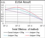 FLIP Antibody in ELISA (ELISA)