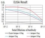 CHRNA5 Antibody in ELISA (ELISA)