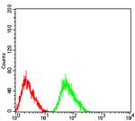 CHRNA5 Antibody in Flow Cytometry (Flow)