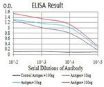 CHRNA6 Antibody in ELISA (ELISA)