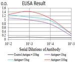 CHRND Antibody in ELISA (ELISA)