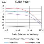 CHRNE Antibody in ELISA (ELISA)