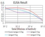 CIDEC Antibody in ELISA (ELISA)