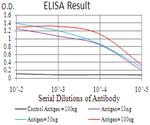 CIDEC Antibody in ELISA (ELISA)