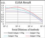 CTNNBL1 Antibody in ELISA (ELISA)