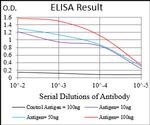 CTNNBL1 Antibody in ELISA (ELISA)