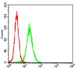 CTNNBL1 Antibody in Flow Cytometry (Flow)