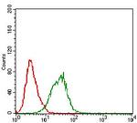 ZIPK Antibody in Flow Cytometry (Flow)