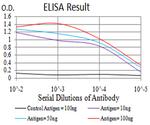 DDX1 Antibody in ELISA (ELISA)